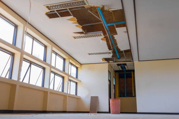 Best Water damage contractors near me  in Cohoes, NY