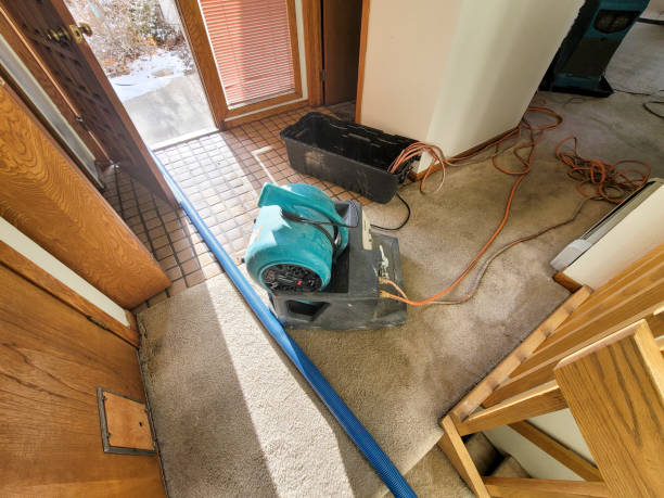 Best Carpet water damage restoration  in Cohoes, NY
