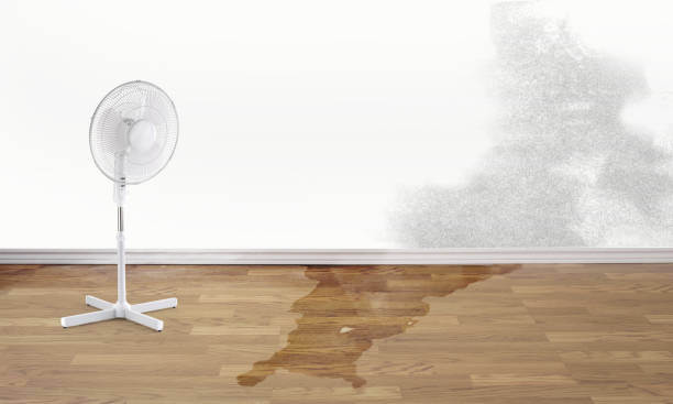 Best Sewage cleanup and water damage restoration  in Cohoes, NY
