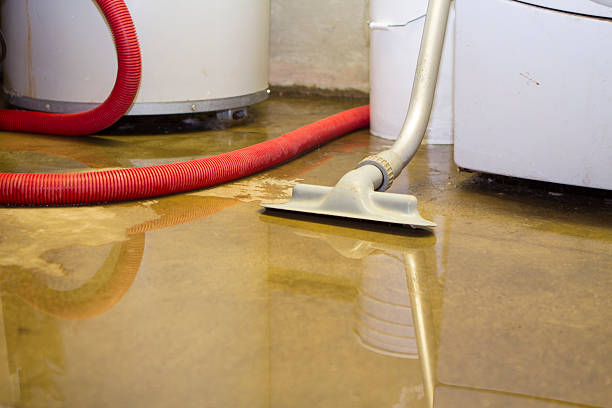 Carpet water damage restoration in NY