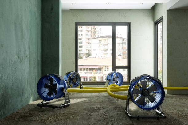 Best Professional water damage repair  in Cohoes, NY